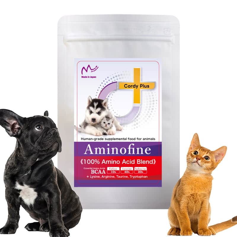 Amino Fine Amino Acid Supplement 25 g thumb 1