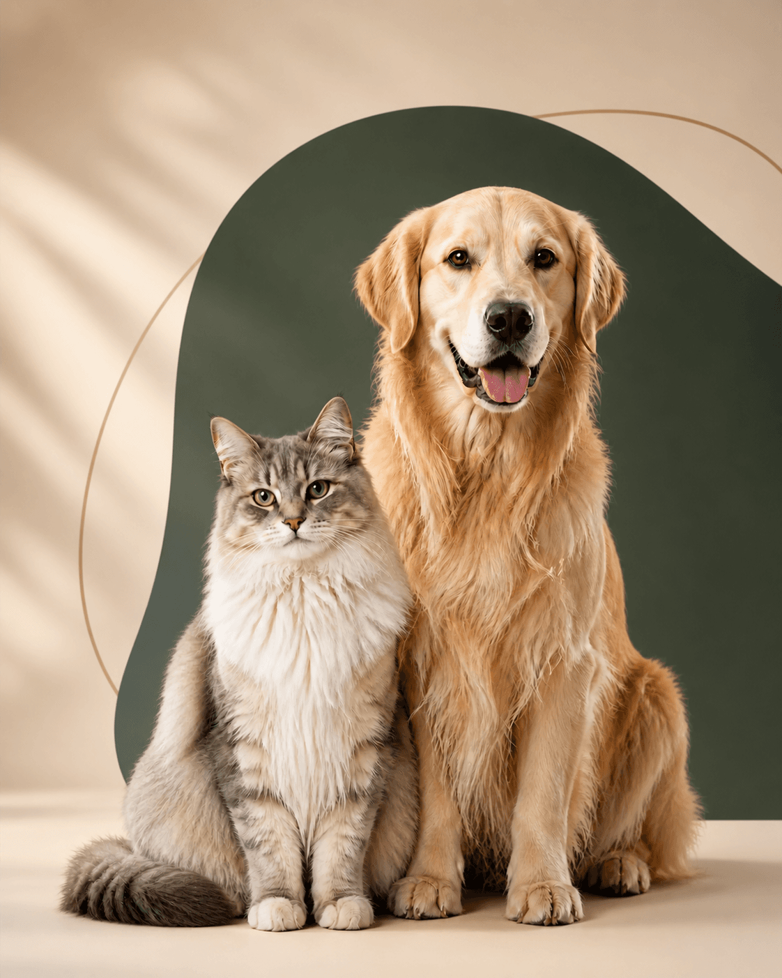 A cat and golden retriever representing the PawRangeCare family