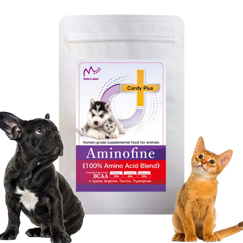 Amino Fine Amino Acid Supplement 25 g 1
