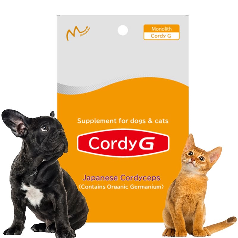Cordy G Japanese Cordyceps Supplement 1