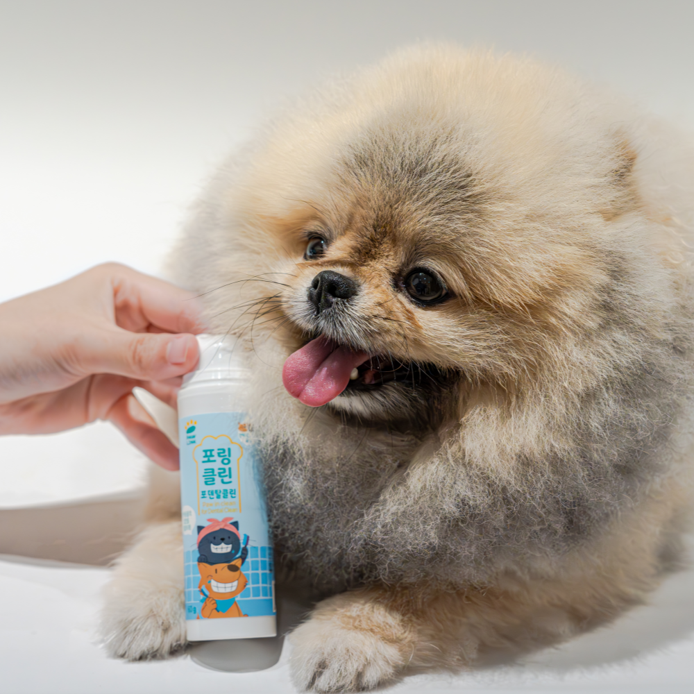 Paw in Clean for Dental Clean thumb 2