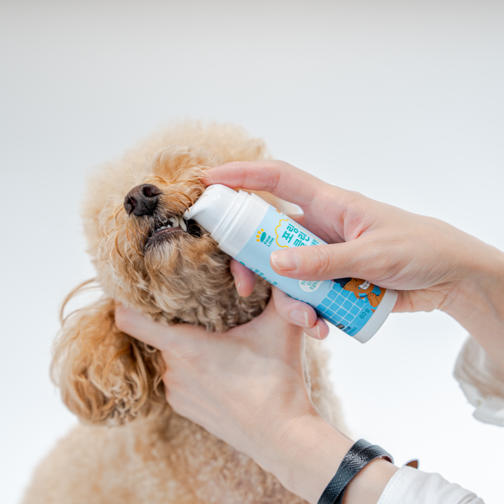 Paw in Clean for Dental Clean thumb 5