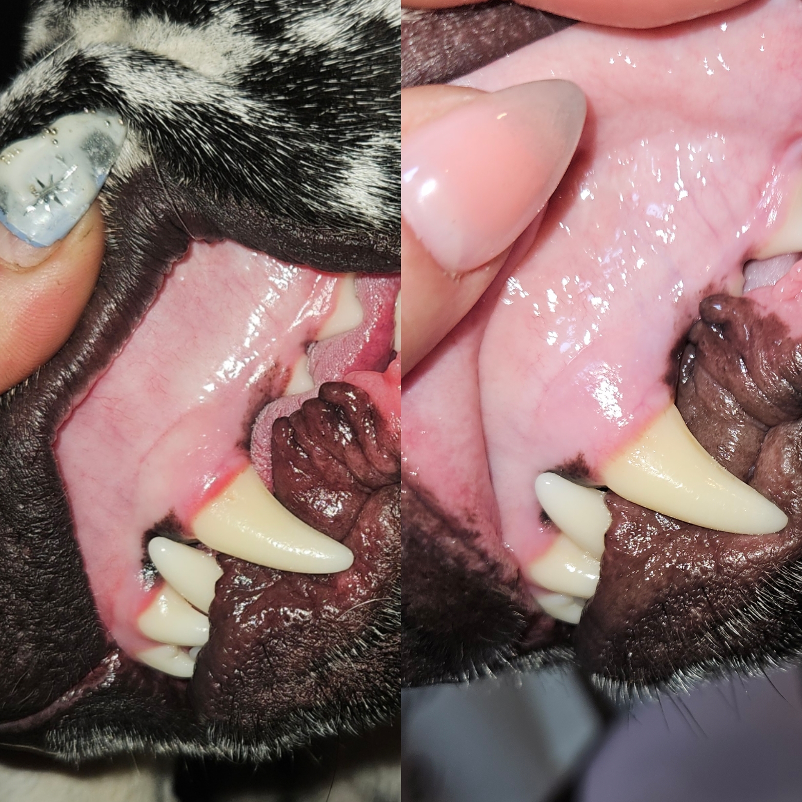 Before Care